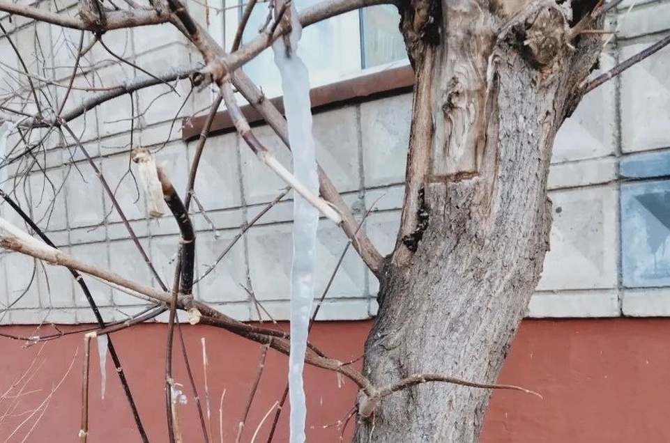   В Томске дождя и снега не ожидается Елена Белоусова