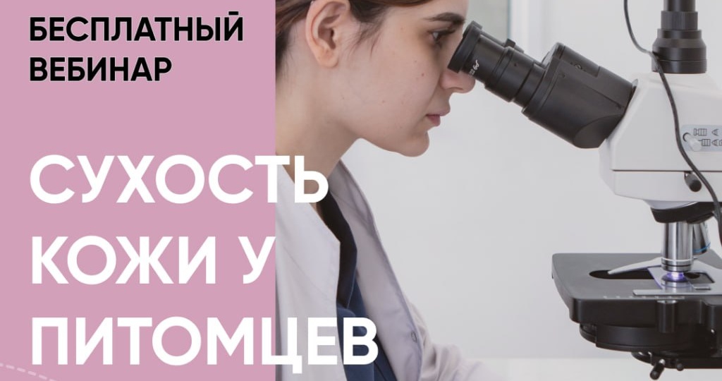 3 апреля пройдет вебинар «Сухость кожи у питомцев: причины и профилактика