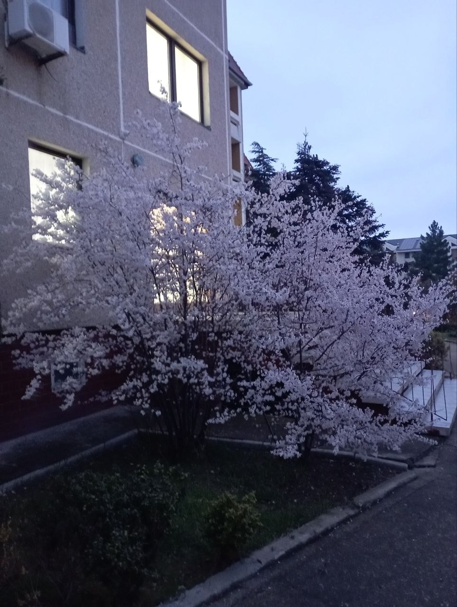 Пансионат Приморье