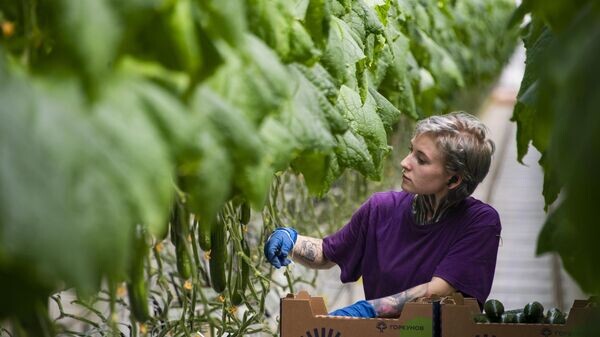    © РИА Новости Крым . Дмитрий Макеев