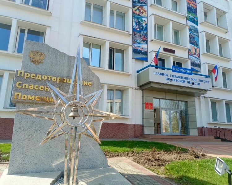     Курские спасатели предупредили детей не поднимать игрушки и кошельки