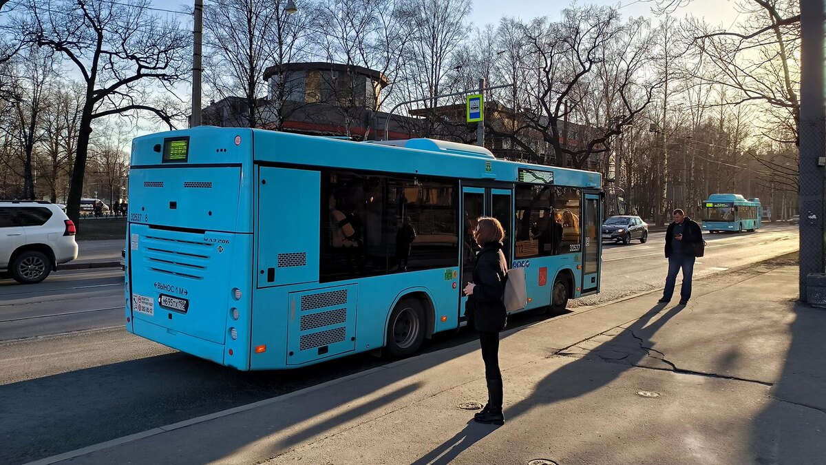    Фото: Maksim Konstantinov/globallookpress.com