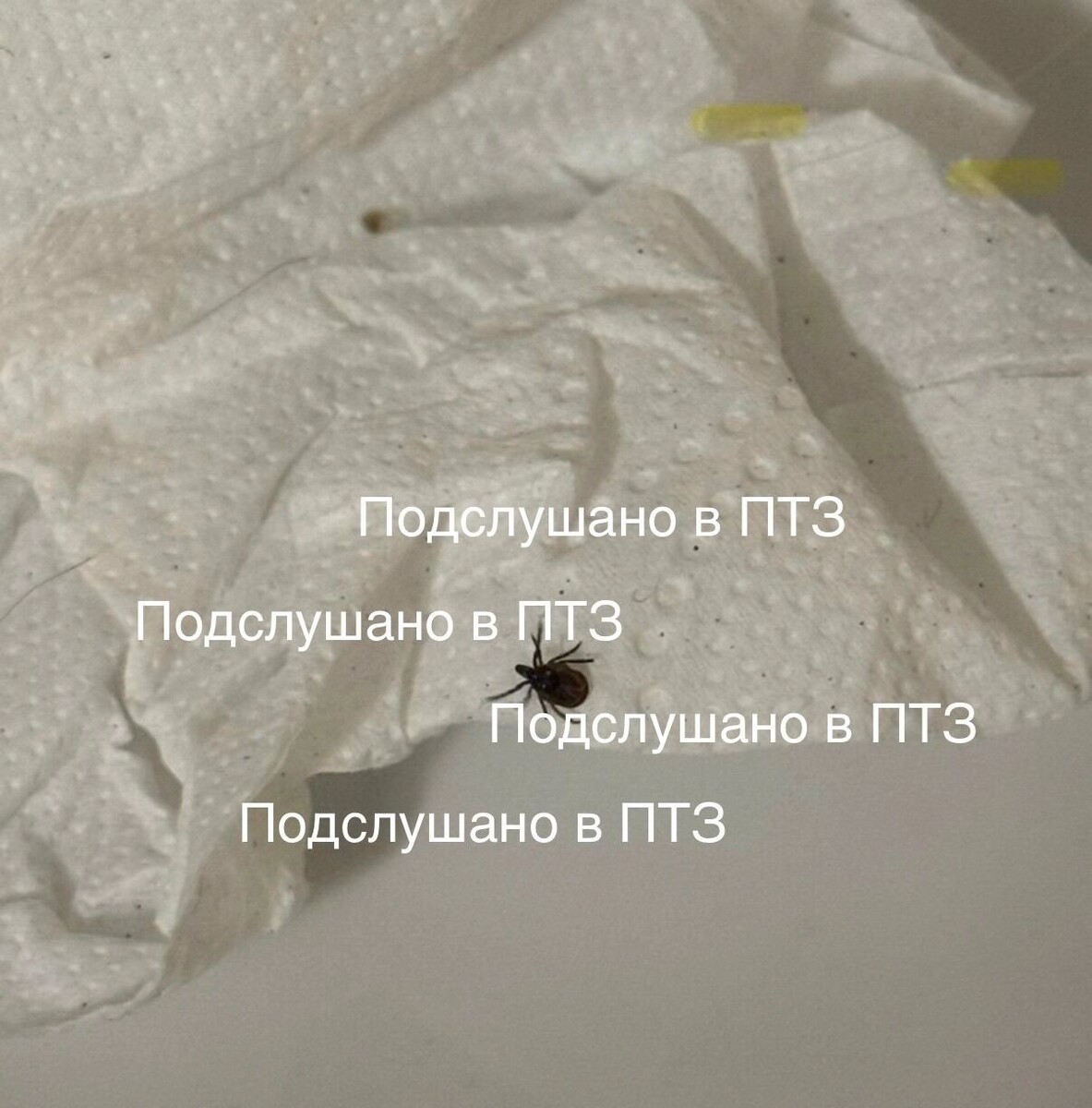   Подслушано в ПТЗ | Петрозаводск / vk