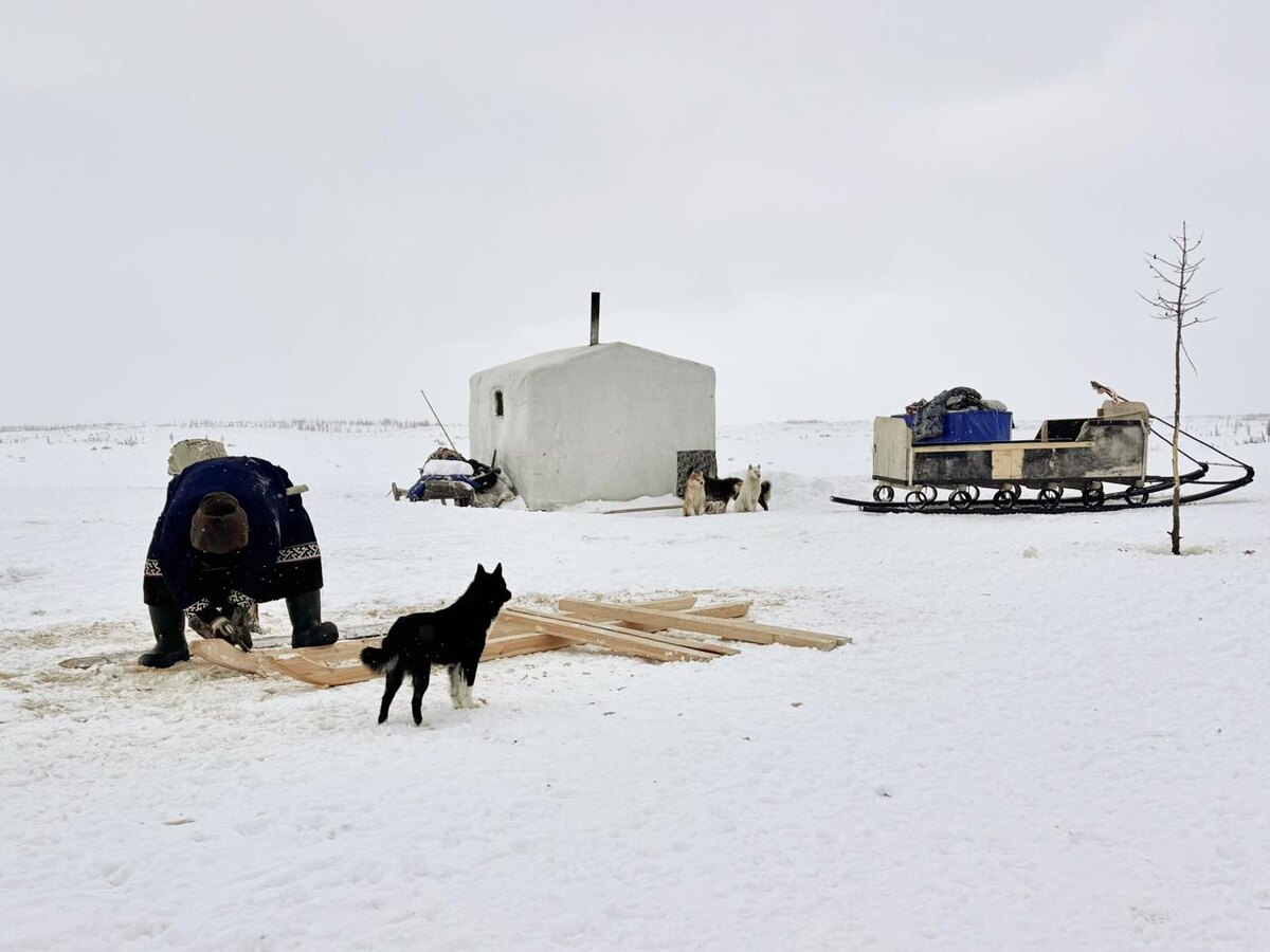 Николай Тэседо работает на воздухе