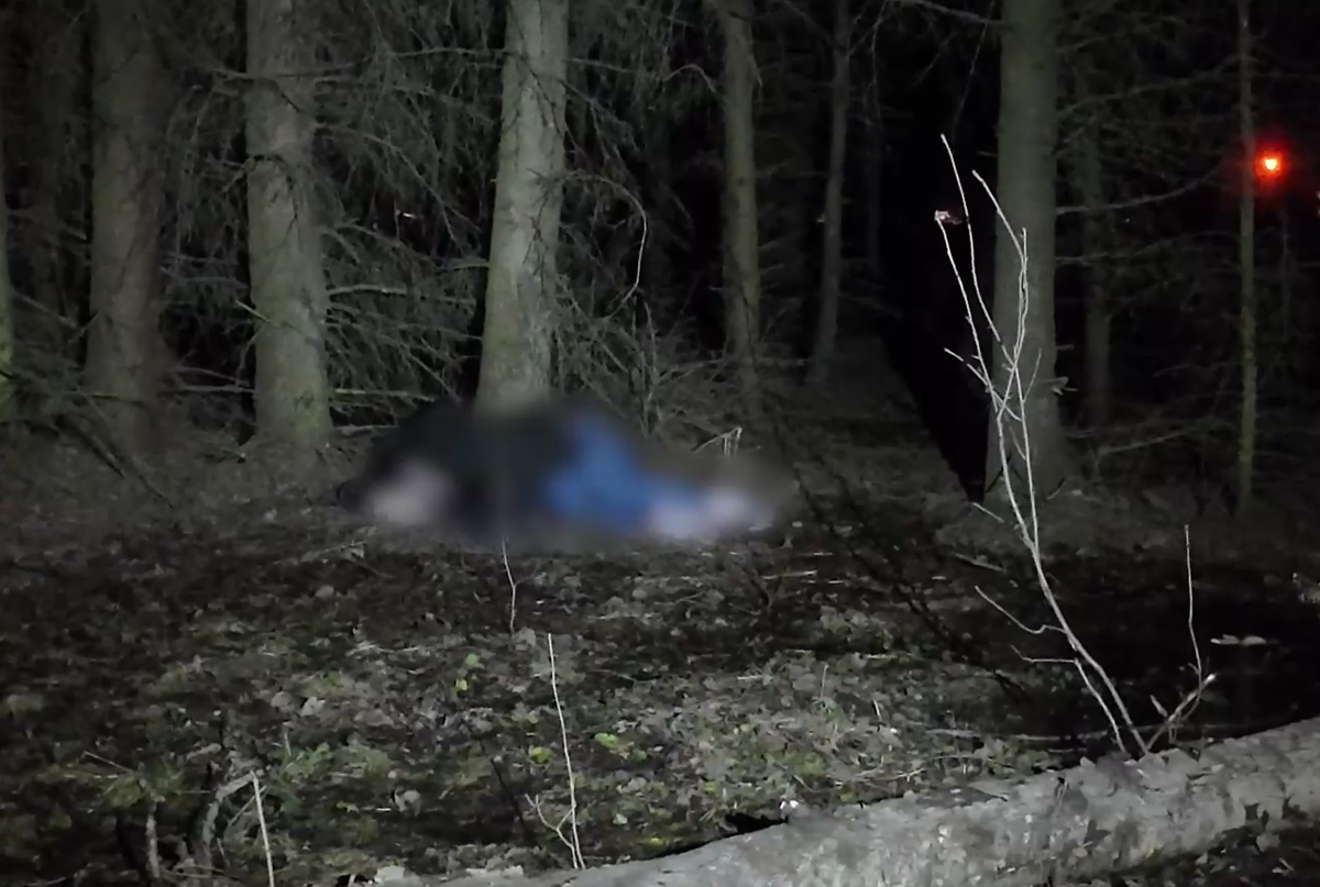     / Источник: © ЦОС ФСБ России. Кадр из видео