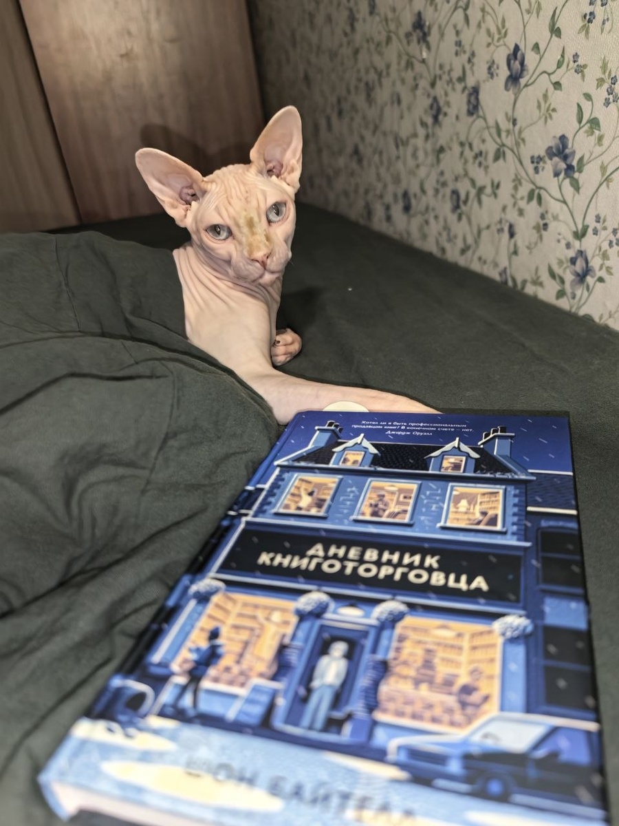 Недавно я дочитала «Дневник книготорговца» Шона Байтелла — и теперь не могу молчать.