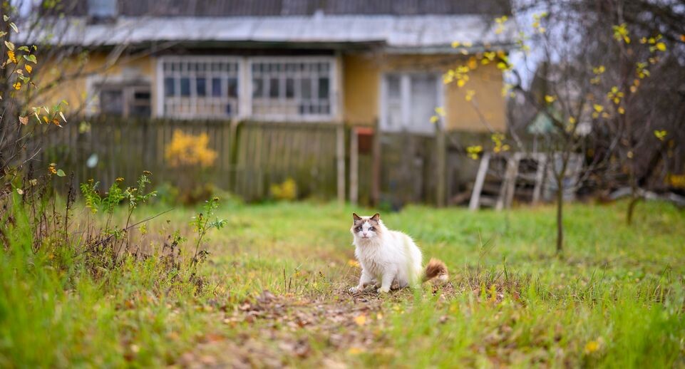    Медиасток.рф