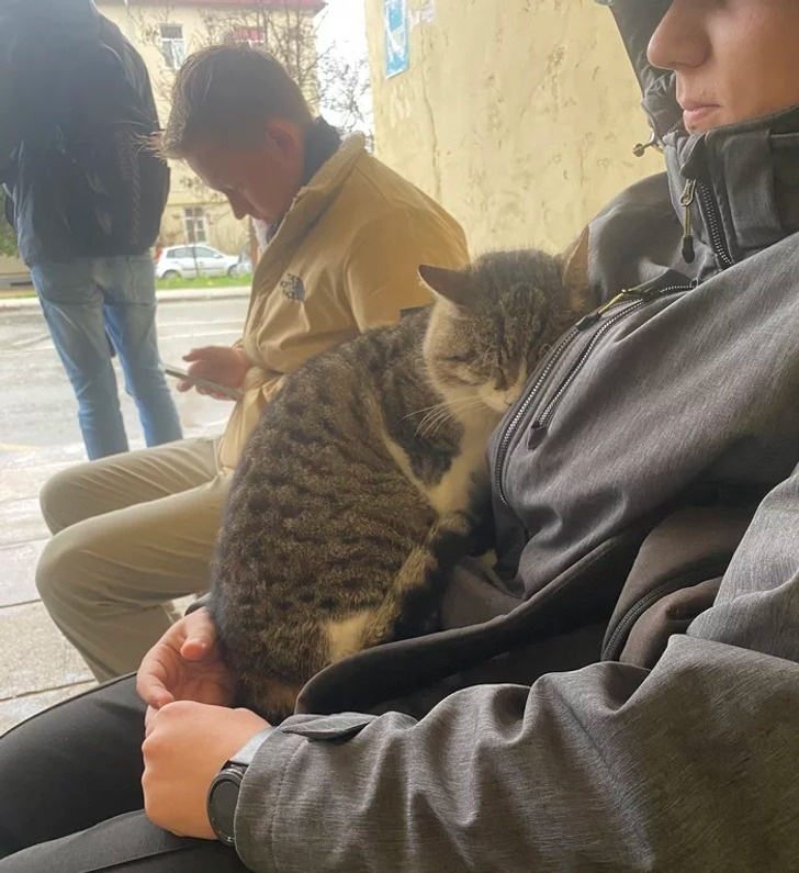 © PinGreen / Pikabu