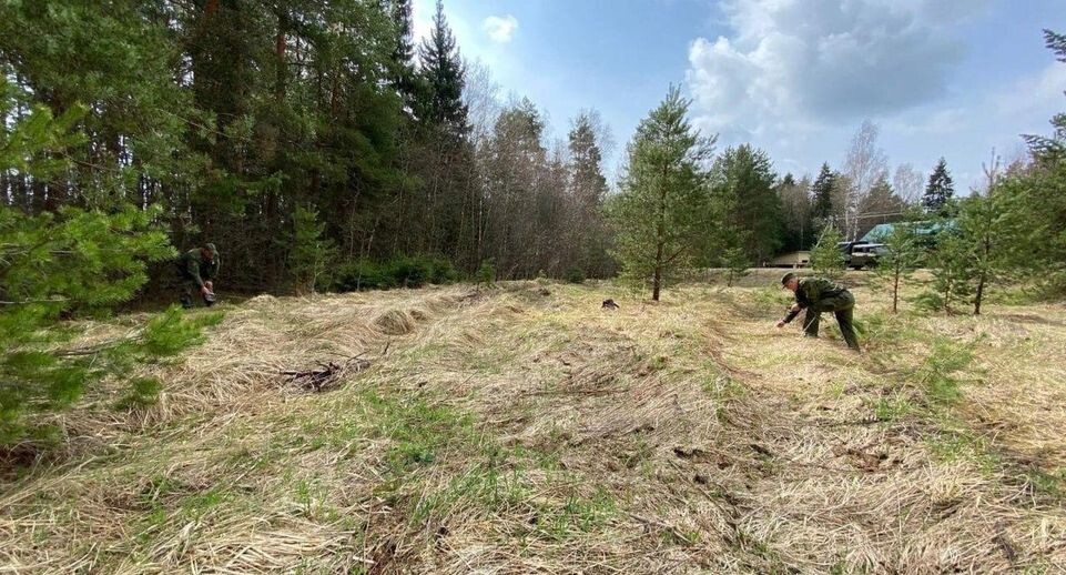    комитет лесного хозяйства московской области