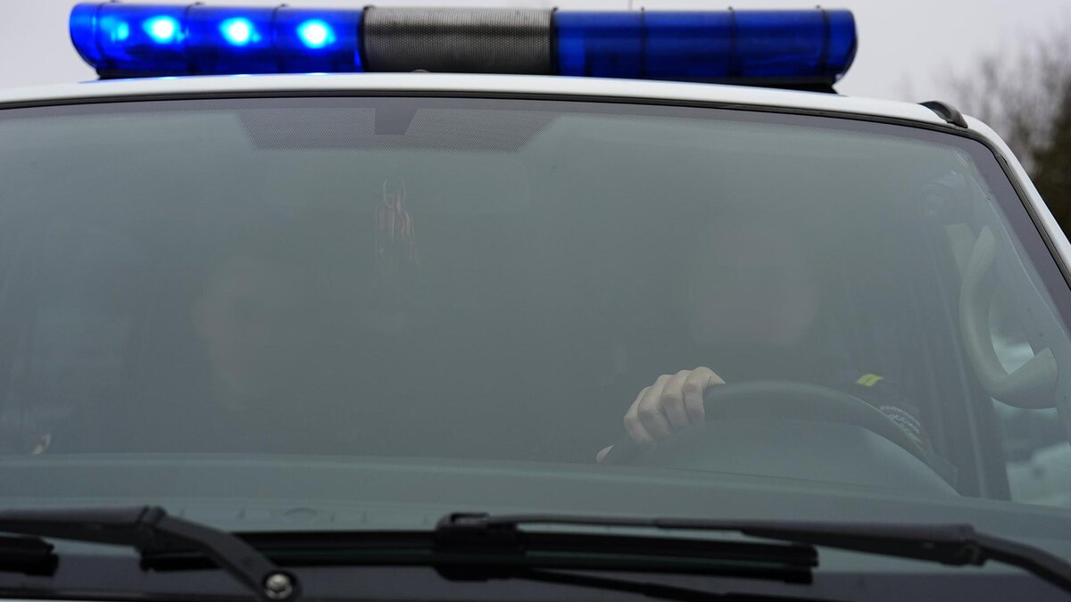    Фото: ИЗВЕСТИЯ/Эдуард Корниенко