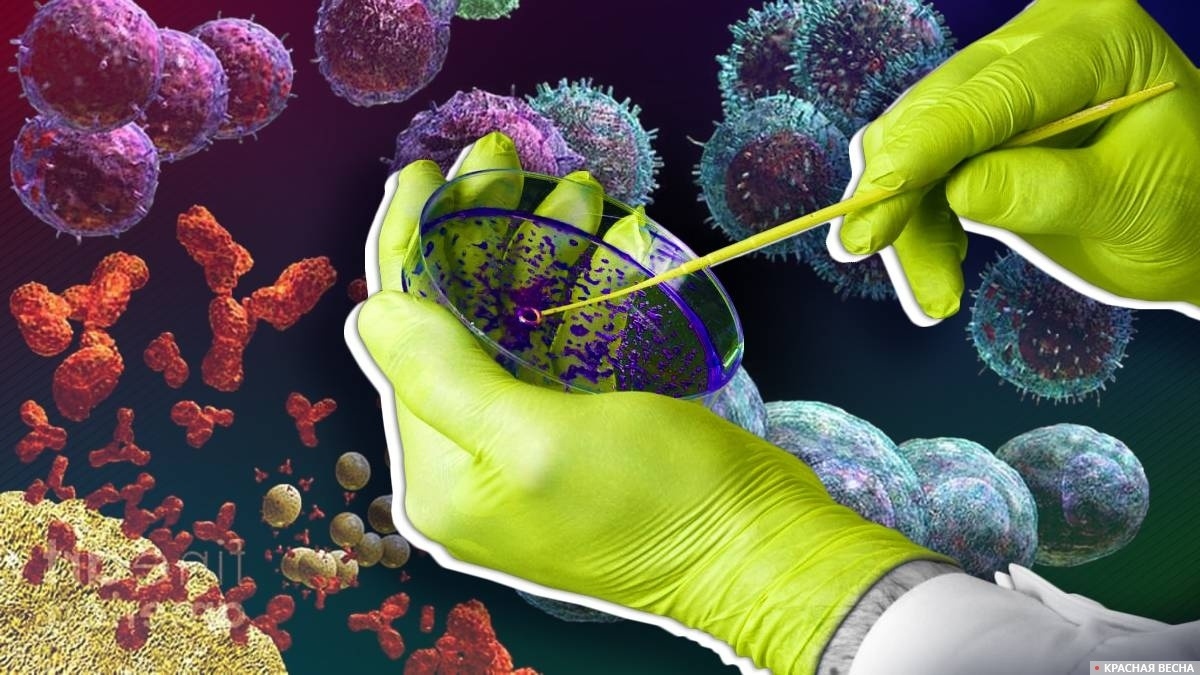     Микробиология   
Ольга Скопина (с) ИА Красная Весна