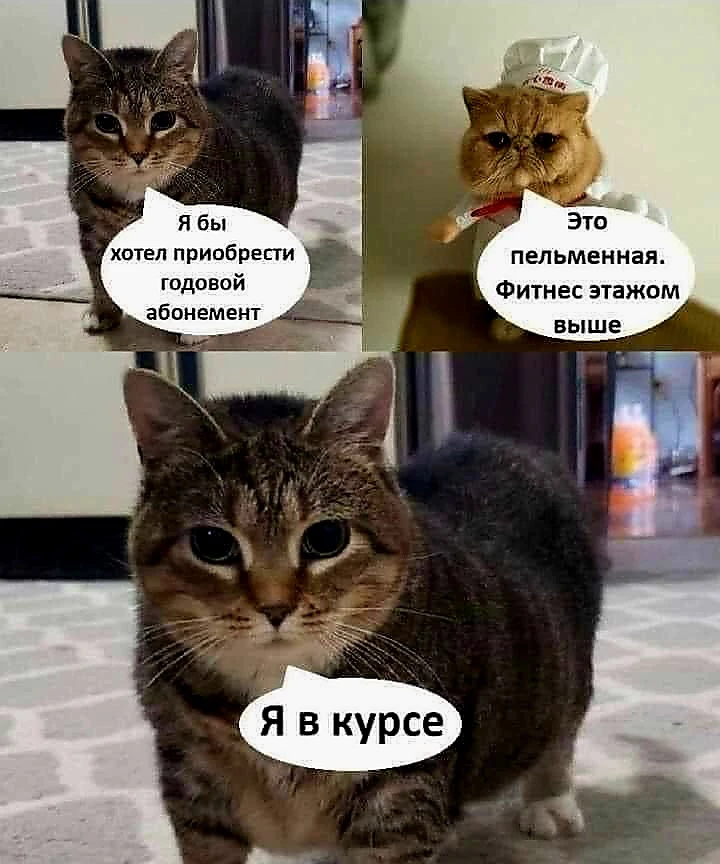 Источник для фото найден на просторах Интернета в открытом доступе yandex.ru