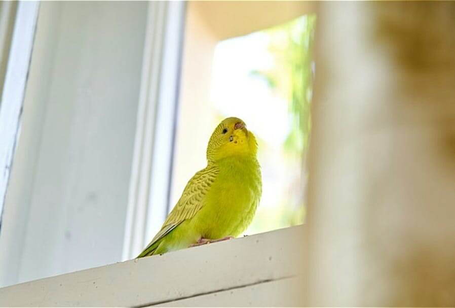 Утро начинается не с будильника