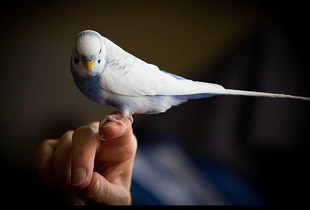 Будь благодарен жизни за мгновенье.../Е.Бачурин