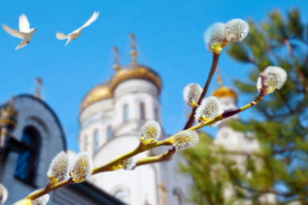 Tatiana Belova/Shutterstock/FOTODOM   📷