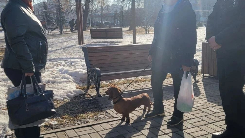    Администрация Тамбова