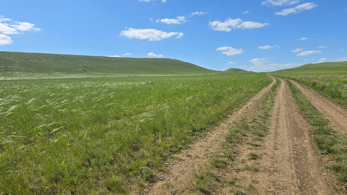 Дорога к Долгим горам