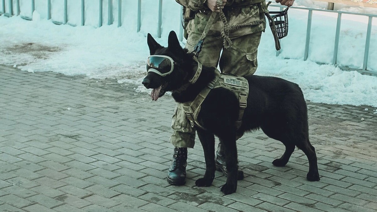     Источник: 1MI