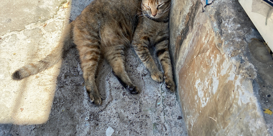 Приехала на Пхукет одна. Продолжаю: сходила на массаж и на другой пляж.