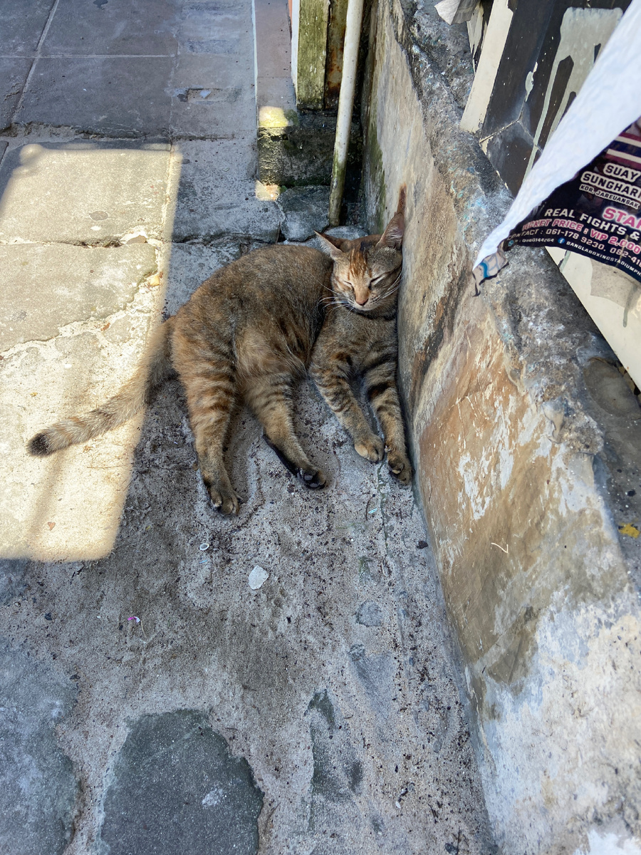 Жизнь на Пхукете😍