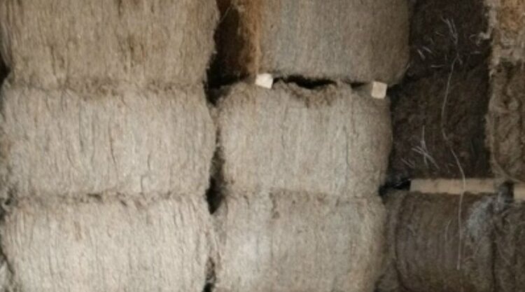    Фото: Россельхознадзор по Кировской области, Удмуртской Республике и Пермскому краю