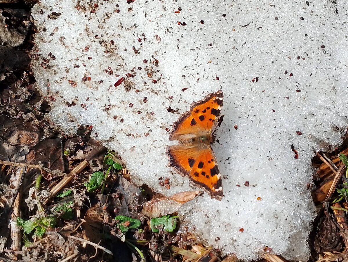 Все возвращается на круги своя.