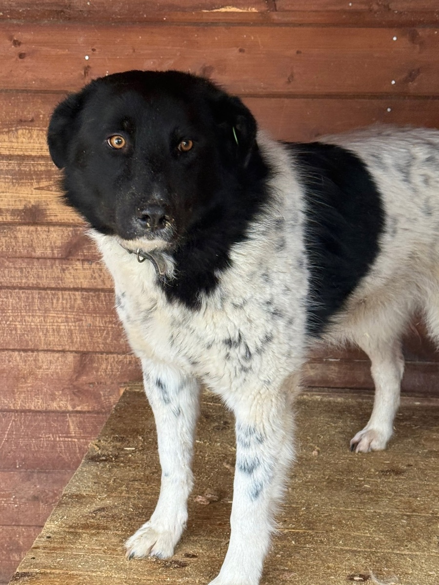   Фото: Аккаунт Элен П. в ВК, источник: https://vk.com/