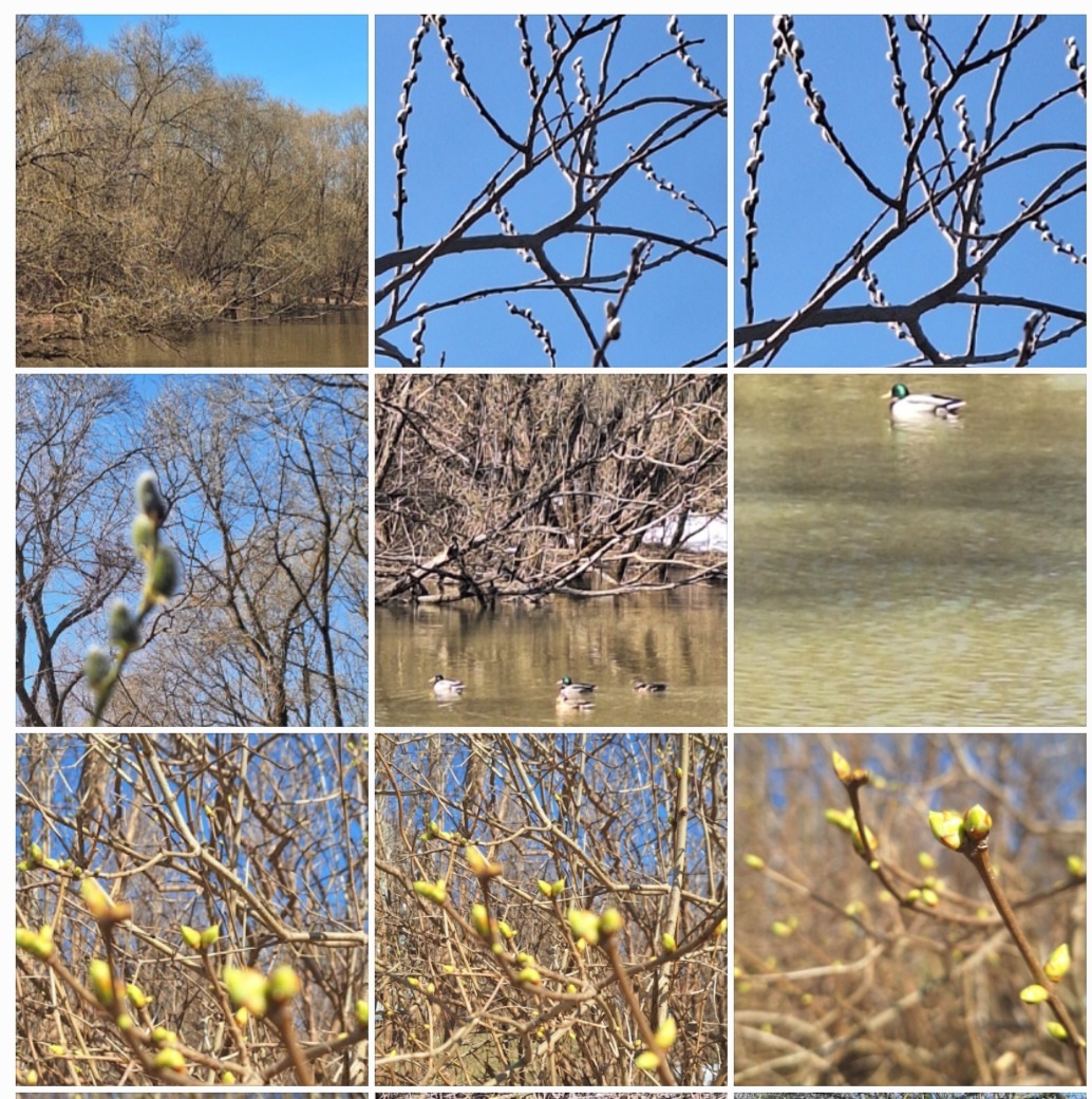 Фотоколлаж на основе моих фотографий (собственность автора канала "ТАК НАДО").