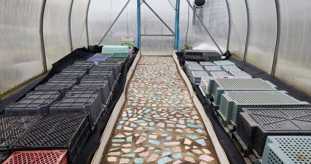 Обогрев теплицы: «Не извольте, барыня, беспокоиться!»