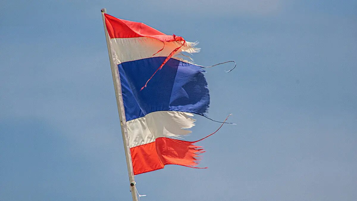    Источник: vm.ru/ Дмитрий Смирнов