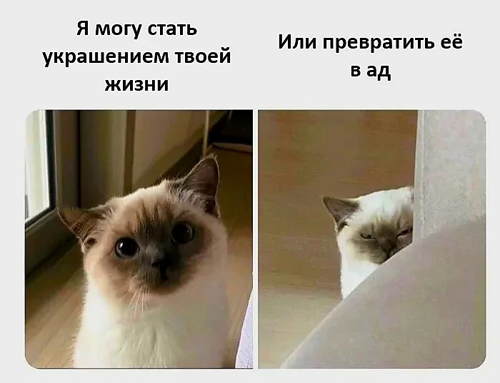 Источник для фото найден на просторах Интернета в открытом доступе