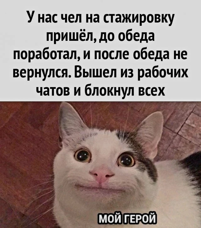 Источник для фото найден на просторах Интернета в открытом доступе