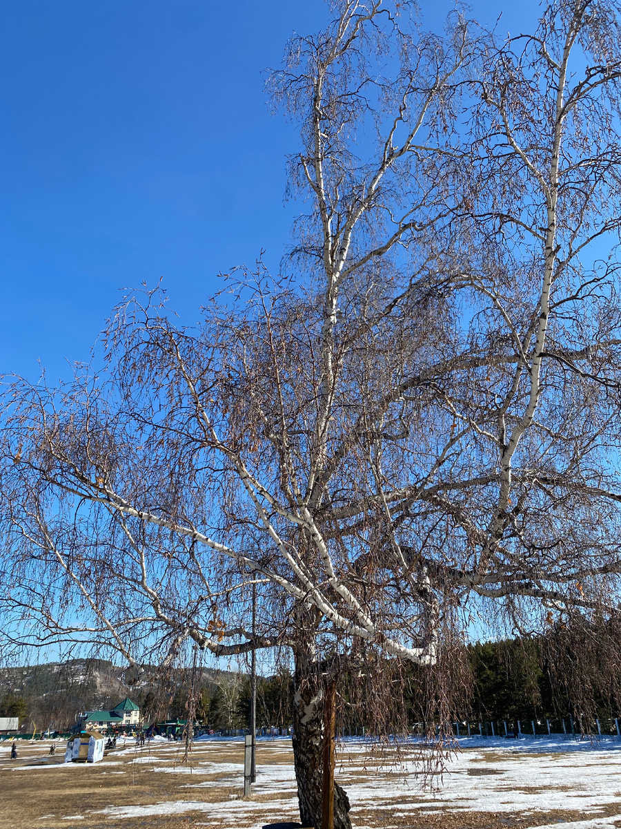 Природная красавица ждёт своего волшебного момента...