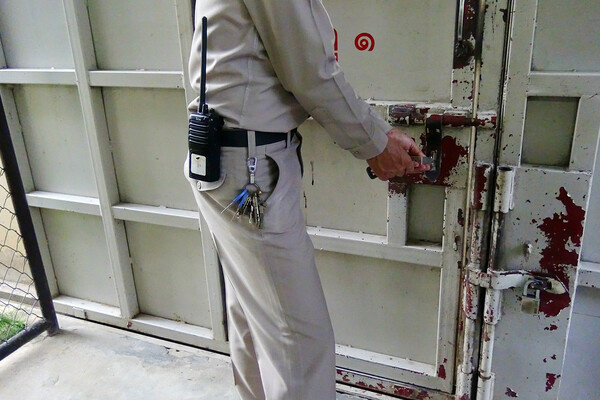 mickeykwang/Shutterstock/FOTODOM   📷