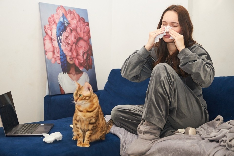    яв Самаре жители столкнутся с сезонной аллергией Николай ОБЕРЕМЧЕНКО