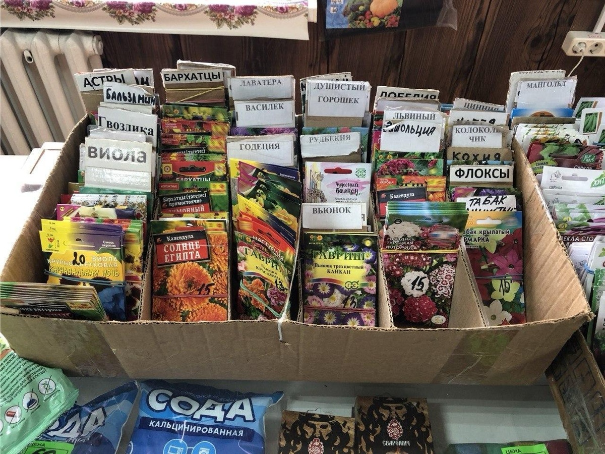 Разнообразие семян в сезон можно встретить даже в маленьком дачном магазине