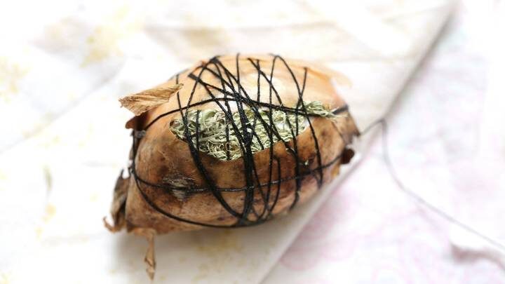  Фото: Shutterstock