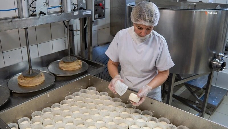      Фото: ИА «Победа26»