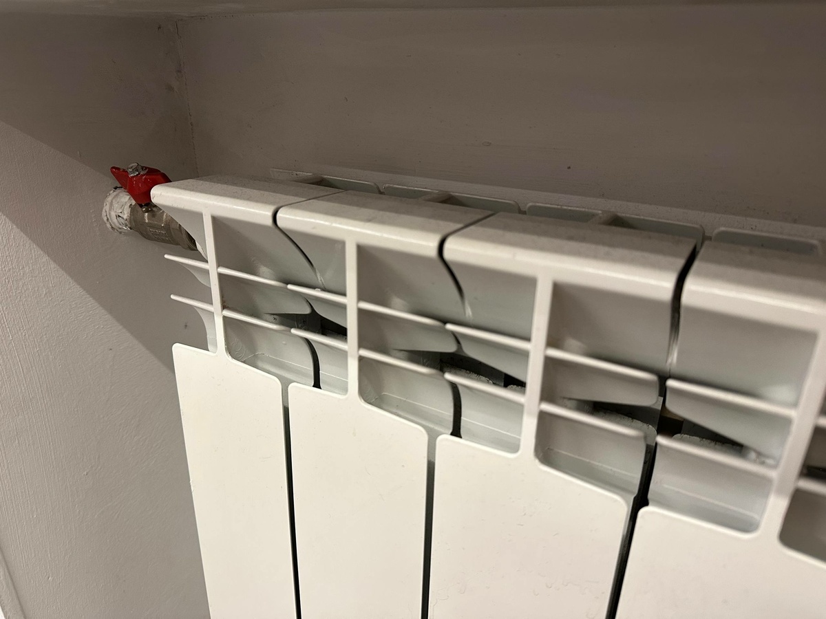    Фото: "Бриф24"