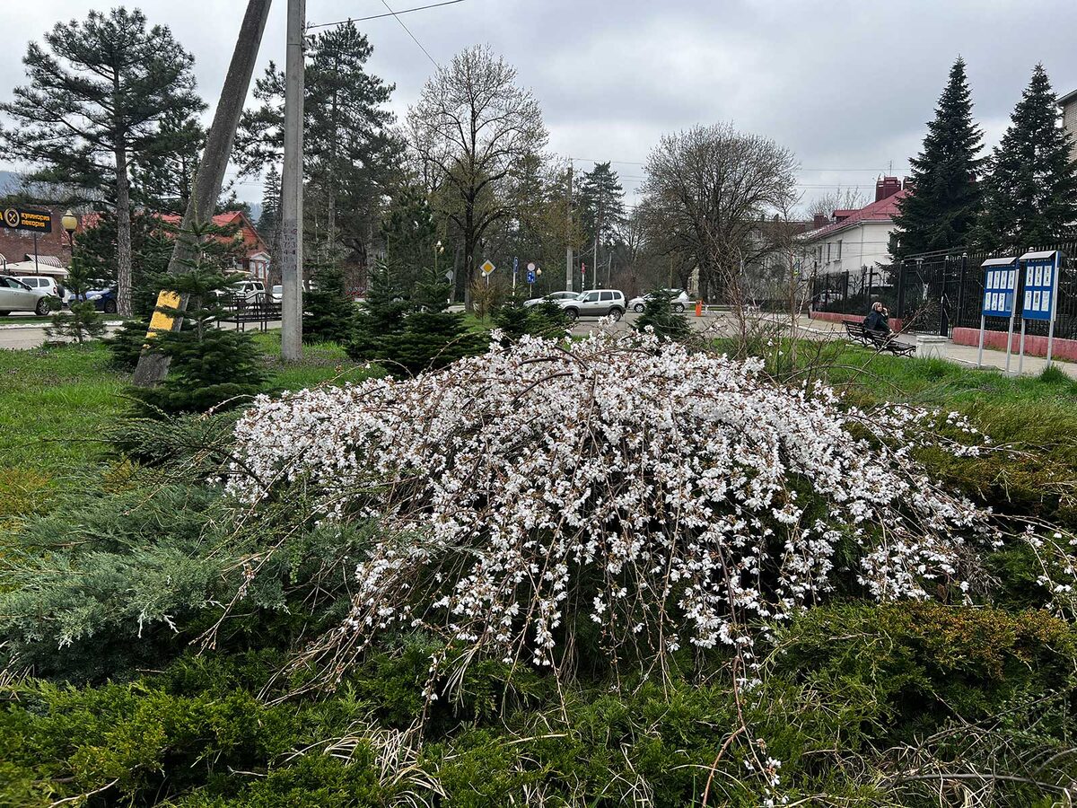 Март в Горячем!