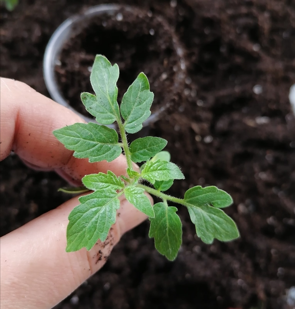 Фото: из личного архива