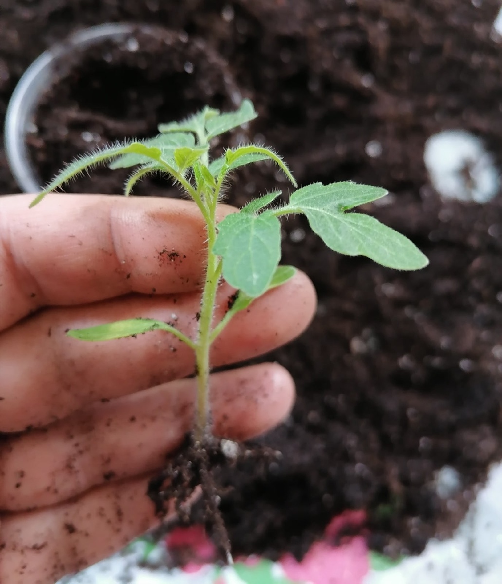 Фото: из личного архива