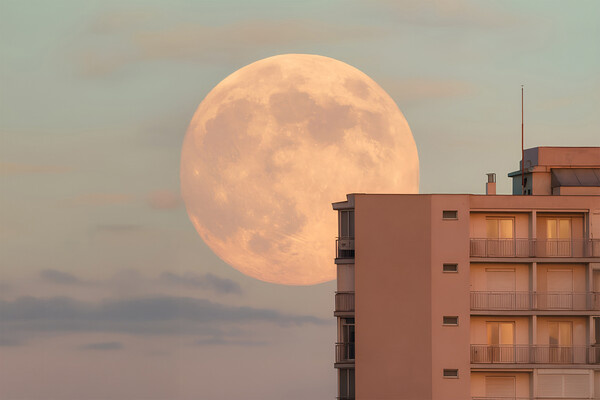 Helga Ha/Shutterstock/FOTODOM   📷