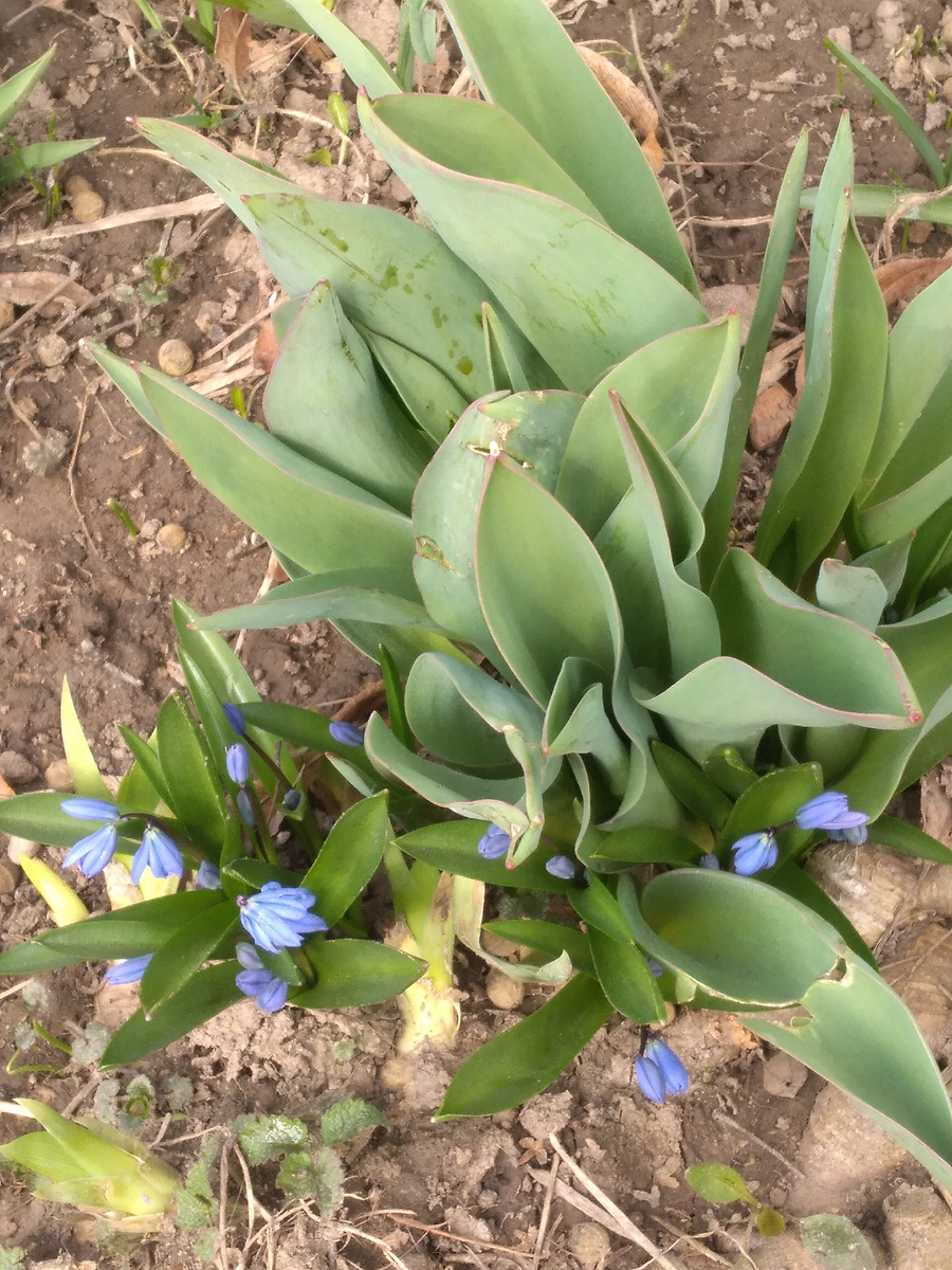 Фото автора.