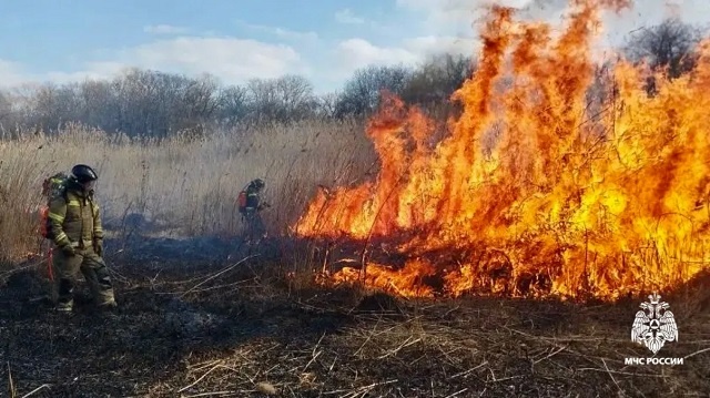    Фото: пресс-служба ГУ МЧС по Ставропольскому краю Сергей Иванов