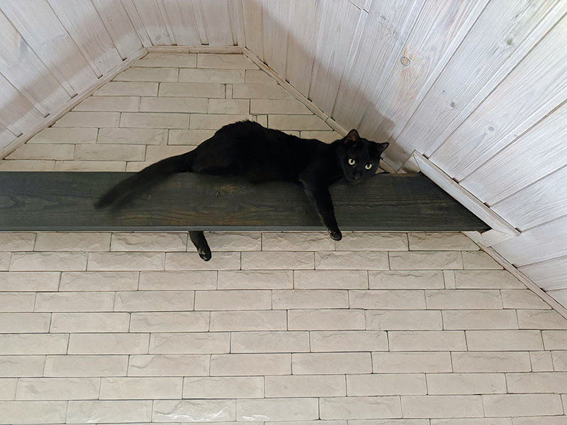 Уголек взял новую стратегическую высоту