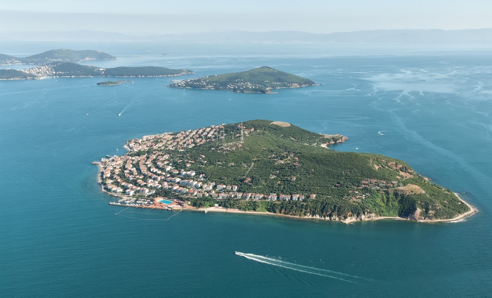     Фото: Mehmet Cetin/Shutterstock aldita.net