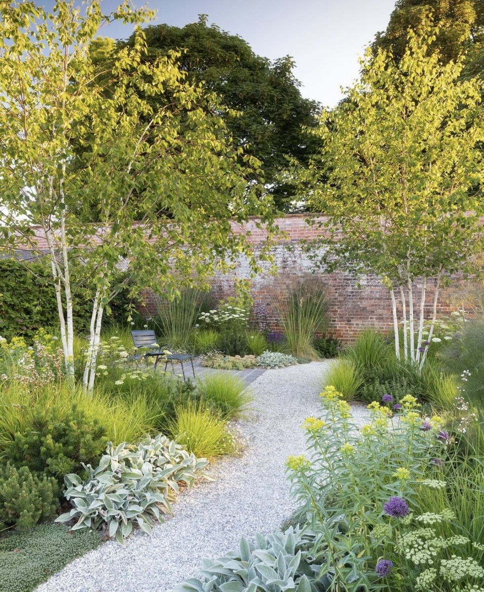 Деревья — основа вашего идеального сада