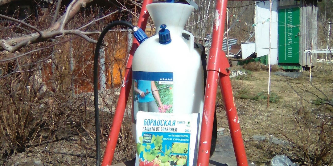 Какие обязательные весенние обработки провести садоводу