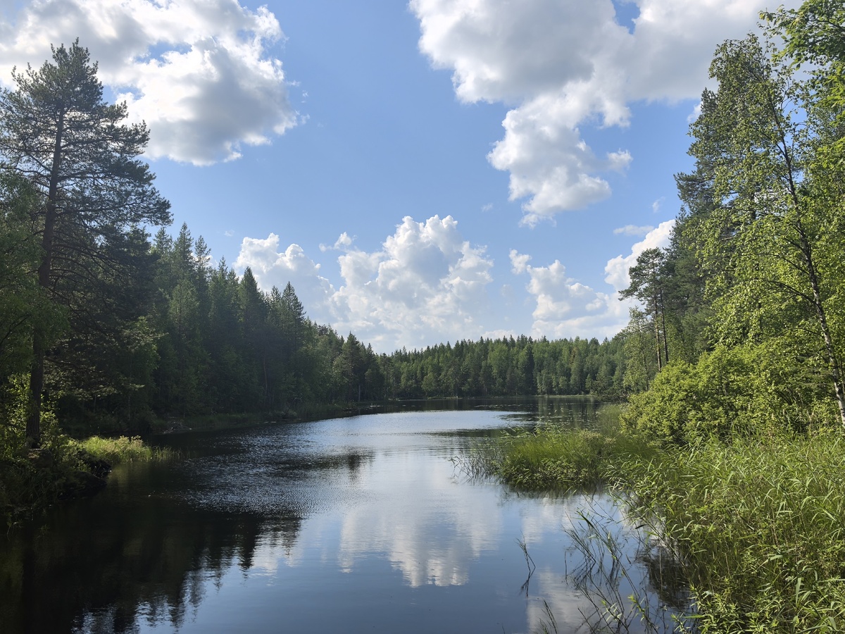    фото: © "Столица на Онего"